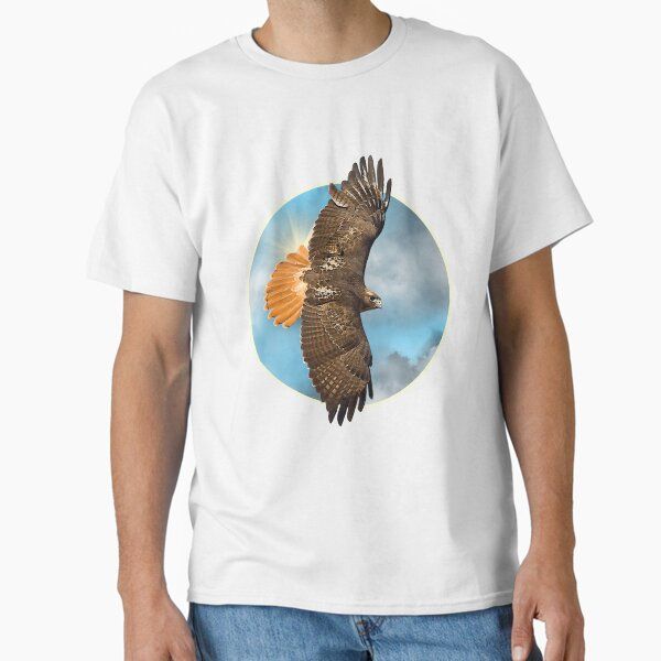 Red Tail Hawk Flying | Sky Falcon | Falconry | Native American Inspired | Wildlife | Animals