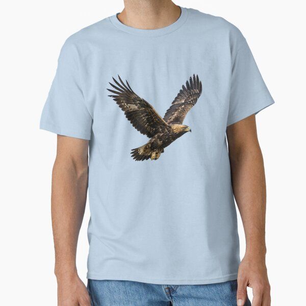 Majestic Soaring Golden Eagle in Flight