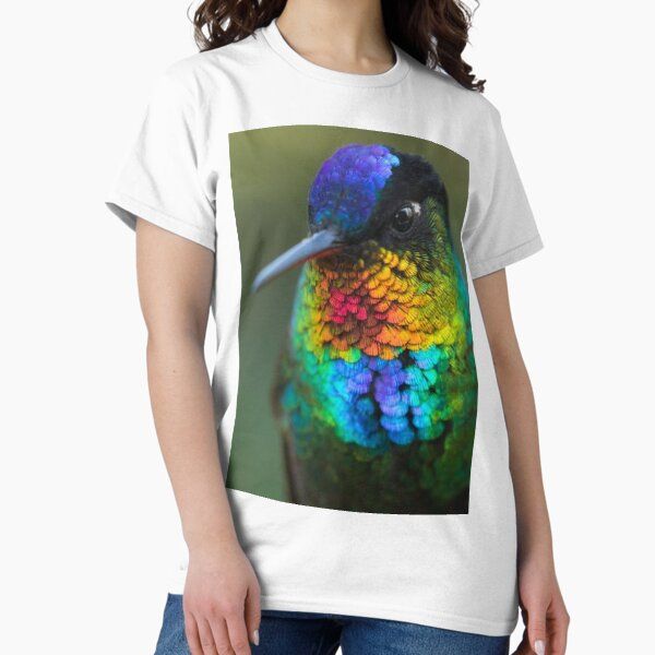 Fiery Throated Hummingbird