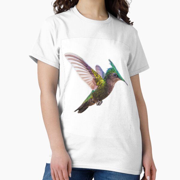 Antillean crested hummingbird